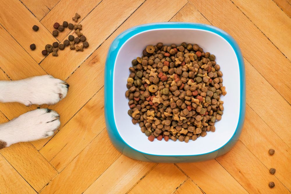 Hundefoder der giver din hund et sundt og aktivt liv